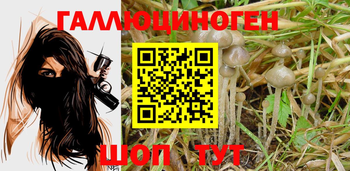 Псилоцибиновые грибы Magic Shrooms Кемерово